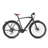 Fafrees F700M Electric Bike