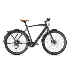 Fafrees F700M Electric Bike