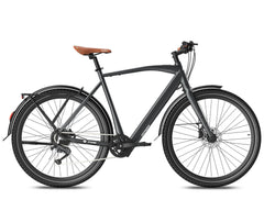 Fafrees F700M Electric Bike