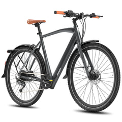 Fafrees F700M Electric Bike