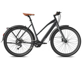 Fafrees F700W Electric Bike