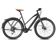 Fafrees F700W Electric Bike