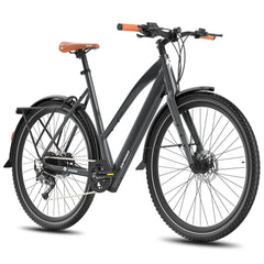 Fafrees F700W Electric Bike