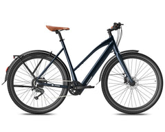 Fafrees F700W Electric Bike