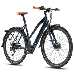 Fafrees F700W Electric Bike