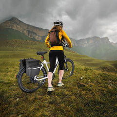 Hidoes BF1 Step-Thru Folding Electric Bike - Pogo Cycles