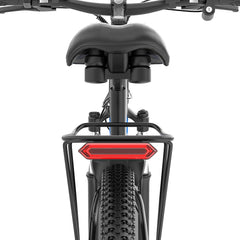 Ridstar S29 Pro Electric Mountain Bike - UK