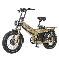TESWAY X7 AWD Dual Motor Electric Bike