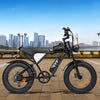 YVY Q20 Mini Electric Bike