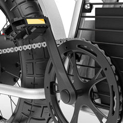 Coswheel CT20S electric bike pedal, chain, and rear tire close-up in black and silver