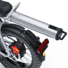 Coswheel CT20S electric bike rear tire, disc brake, and battery close-up