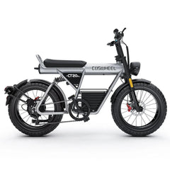 Coswheel CT20s electric bike in silver, side view on white background