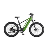 Green Cyrusher Zenith electric bike on a white background