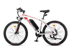 Fafrees 26 Hailong One Electric Bike