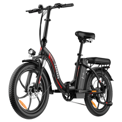FAFREES F20 Folding Electric Bike