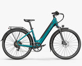 Fiido C11 city Electric Bike