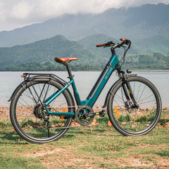 Fiido C11 Pro City Electric Bike
