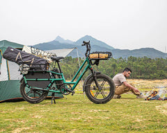 Fiido T2 Longtail Cargo E-Bike - UK - Pogo Cycles