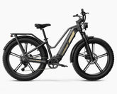 Fiido Titan Robust Cargo Electric Bike-UK - Pogo Cycles