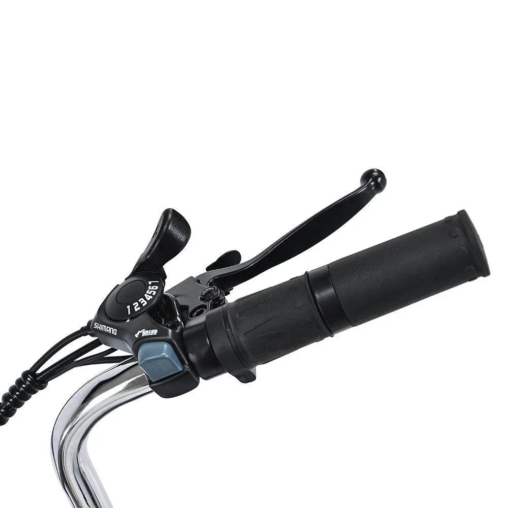 Gogobest Electric City Tricycle Cargo E-bike - Shimano gear - Pogo Cycles