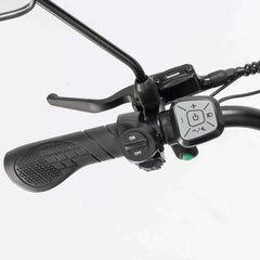 Ridstar Q20 Pro Electric Bike - UK