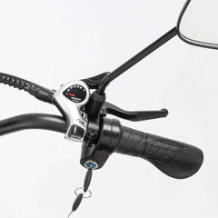 Ridstar Q20 Pro Electric Bike - UK