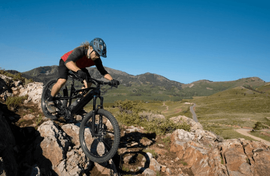 Anatomy of E-Bikes: Understanding the Essentials - Pogo Cycles