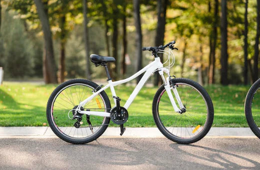 white electric bike side view on park road with trees in background