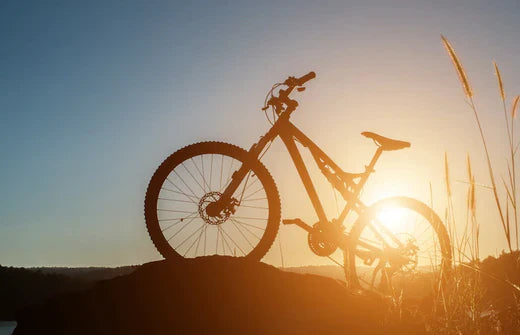 full suspension electric mountain bike side view on hillside at sunset