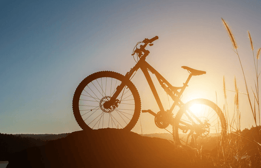 What Are Full Suspension E-Bikes? - Pogo Cycles