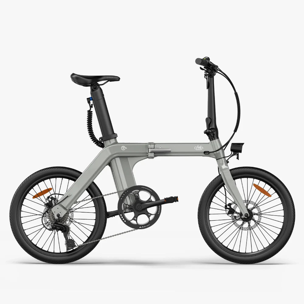FIIDO D11 2025 Folding Electric Bike