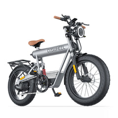 Coswheel T20R Cargo Fat Tire Electric Bike - UK