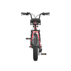 PVY LS20 Electric Bike - UK