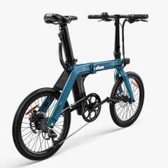 FIIDO D11  Mountain Electric Bike