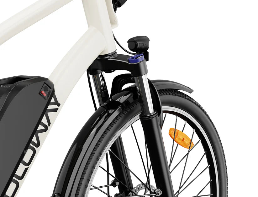 Yoloway C10 Electric Bike