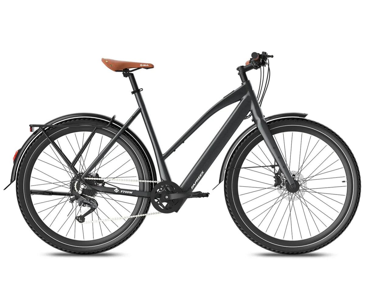 Fafrees F700W Electric Bike