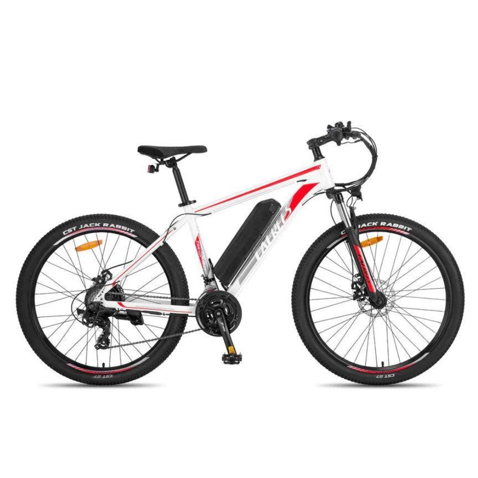 Fafrees F28 MT Mountain Electric Bike on a white background - Pogo Cycles