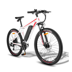 Fafrees F28 MT Mountain Electric Bike on a white background Pogo Cycles, UK