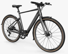 Fiido E-Gravel C21 Electric Bike