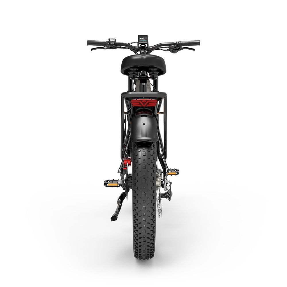 Back view of Lankeleisi MG800Max Dual Motor all Terrain Bike - Pogo Cycles, UK