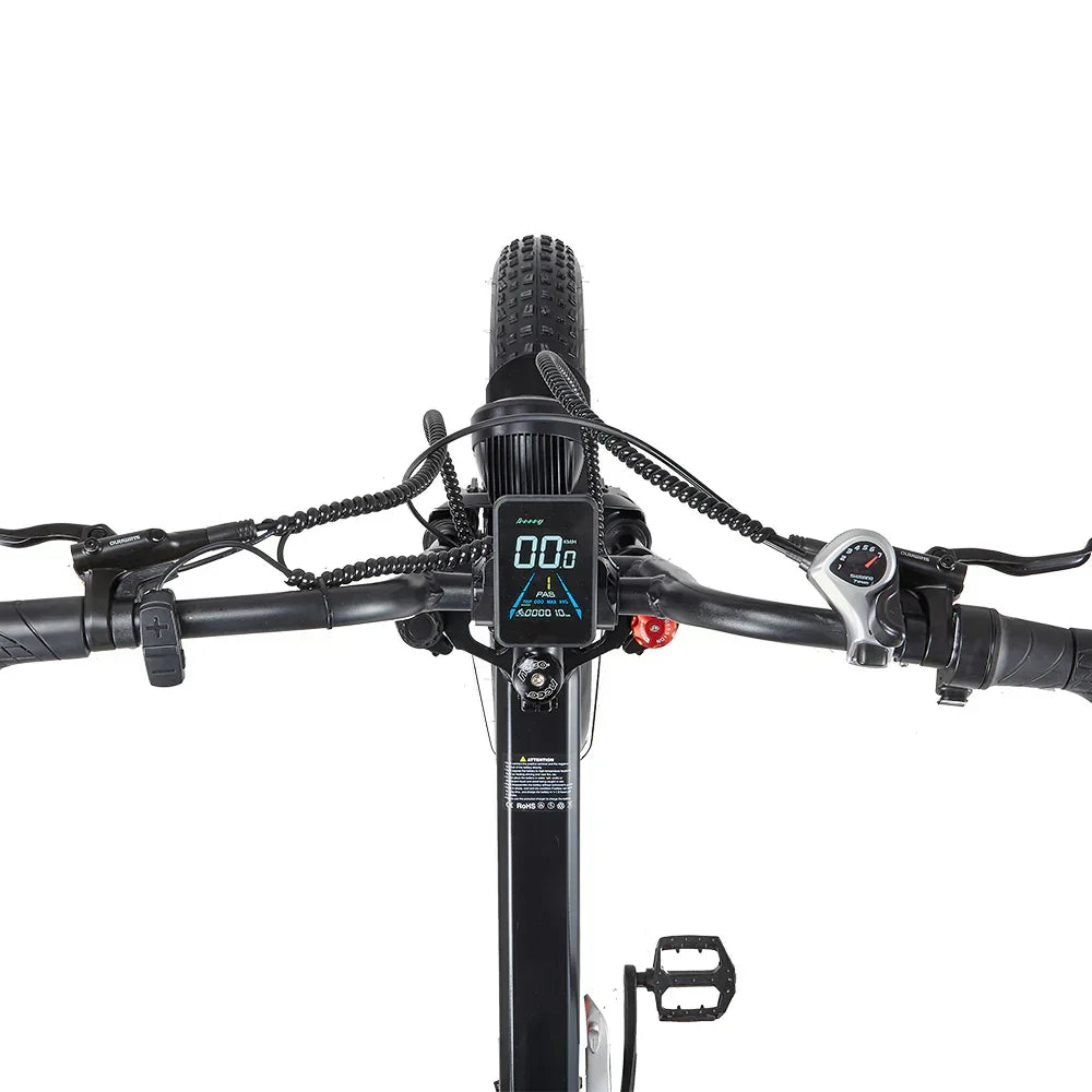 Close-up of a RANDRIDE YX20M-2 Dual Motor Electric bicycle handlebar with digital display and control buttons on a white background