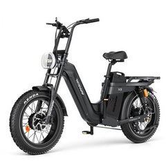 TESWAY X5 AWD Step-Thru Dual Motor Electric Bike