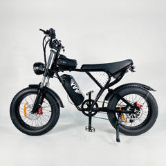YVY Q20 Electric Bike