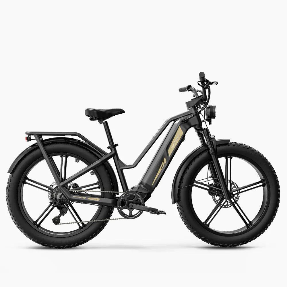 Fiido Titan Robust Cargo Electric Bike-UK - Pogo Cycles