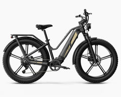 Fiido Titan Robust Cargo Electric Bike-UK - Pogo Cycles