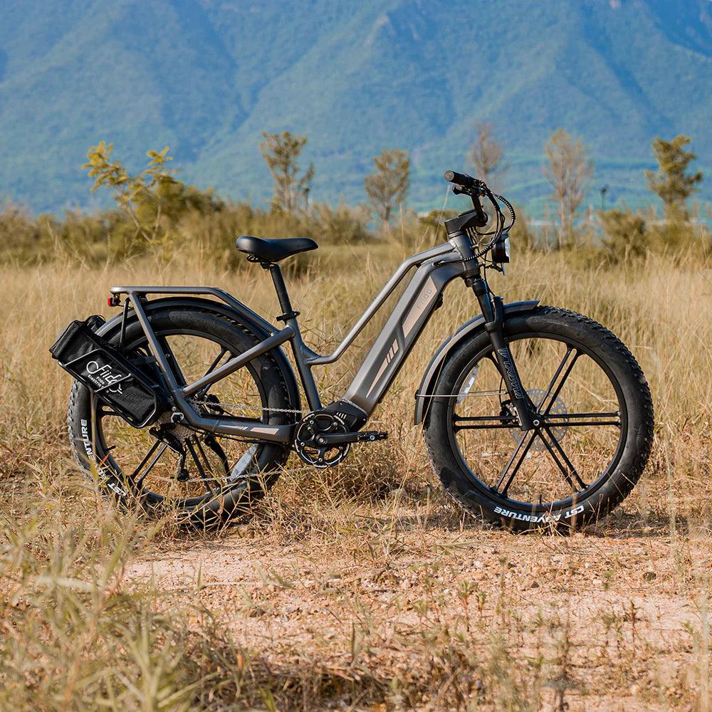 Fiido Titan Robust Cargo Electric Bike-UK - Pogo Cycles