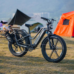 Fiido Titan Robust Cargo Electric Bike-UK - Pogo Cycles