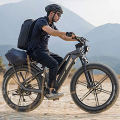 Fiido Titan Robust Cargo Electric Bike-UK - Pogo Cycles