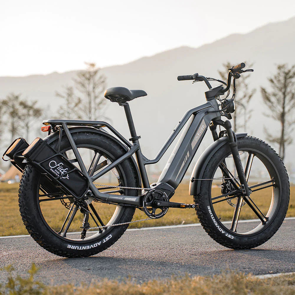 Fiido Titan Robust Cargo Electric Bike-UK - Pogo Cycles