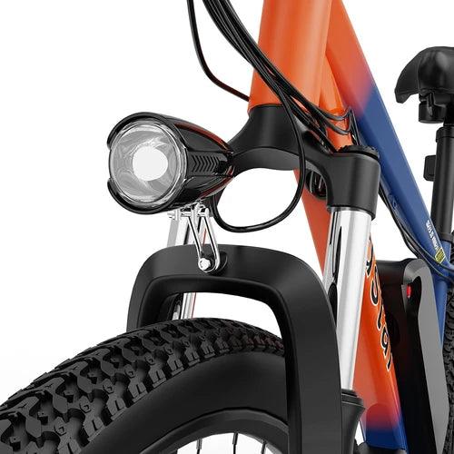 Ridstar S29 Electric Bike - UK - Pogo Cycles